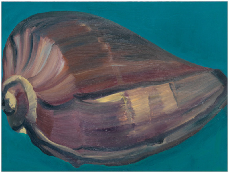 Muschel (Turbine), 2020, Öl auf Aluminium, 30 x 40 cm